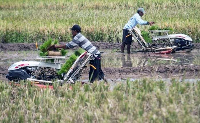 Sinergi Penyuluh dan UPJA Dukung Optimalisasi Alsintan Barito Timur